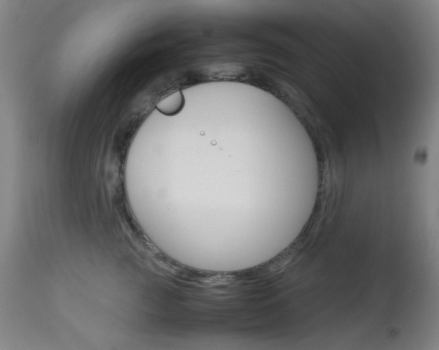 X0000113910761200909241305