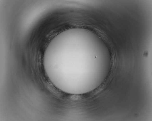 X0000113910762200909241305
