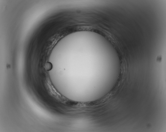 X0000113910764200909241305
