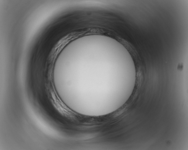 X0000113910765200909241305