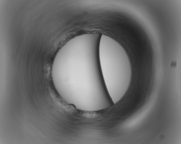 X0000113910767200909241305