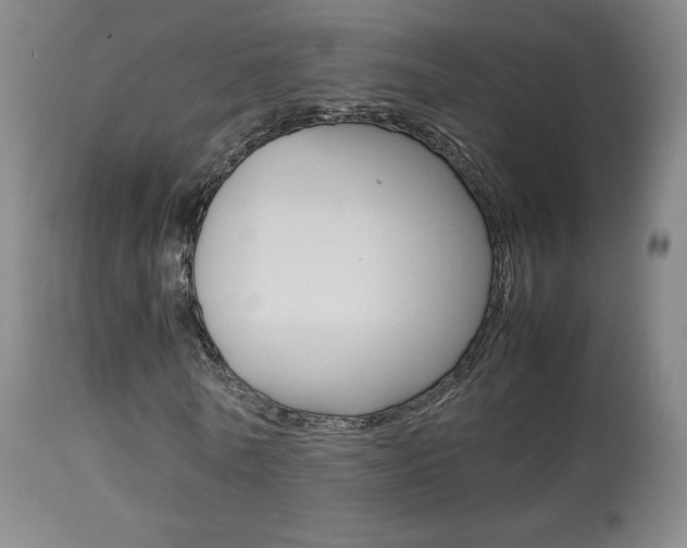 X0000113910770200909241305