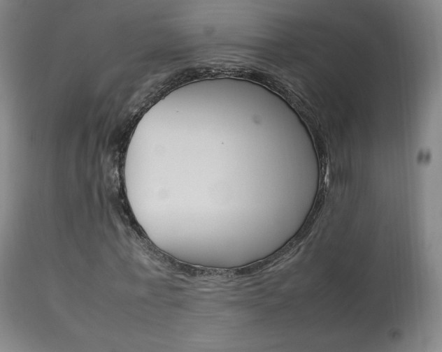 X0000113910771200909241305
