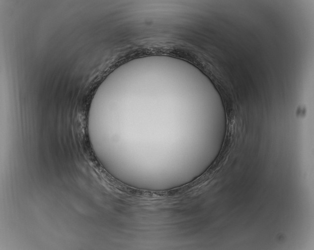 X0000113910772200909241305