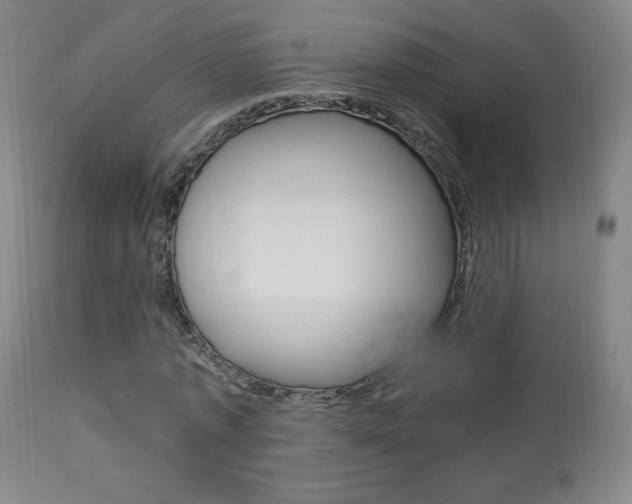 X0000113910773200909241305
