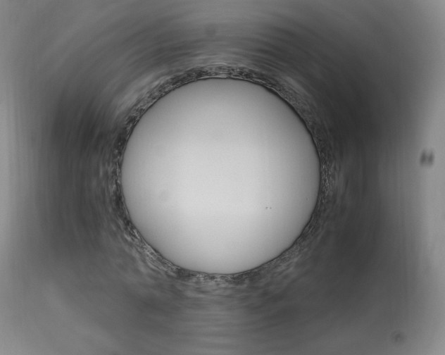 X0000113910774200909241305