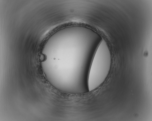 X0000113910776200909241305