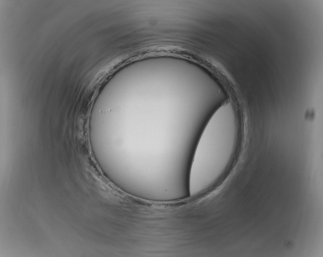 X0000113910777200909241305