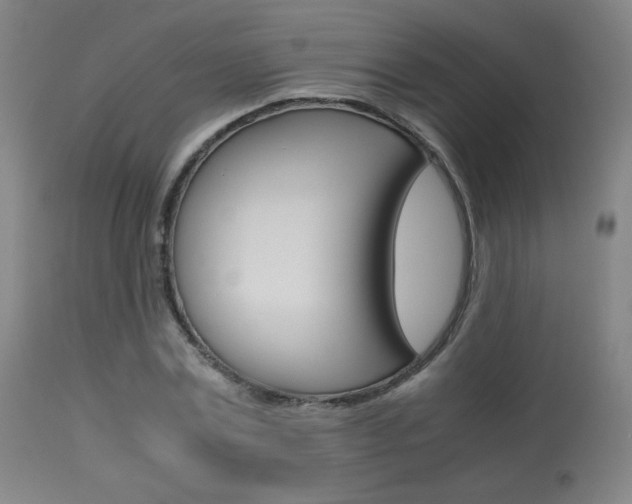 X0000113910779200909241305