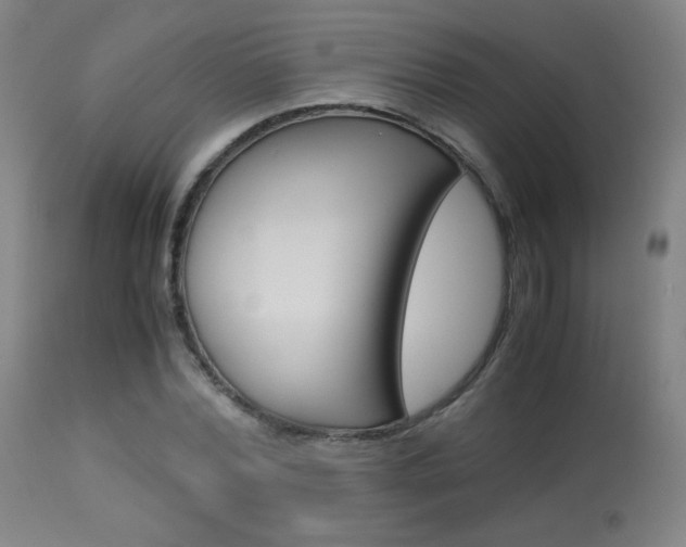 X0000113910780200909241304