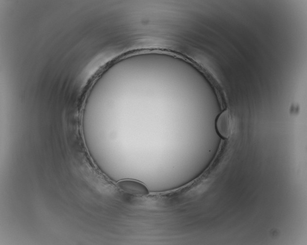 X0000113910781200909241304