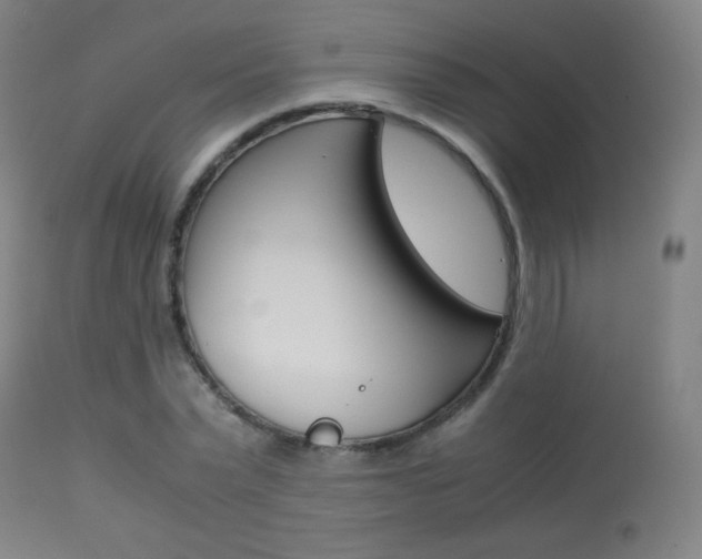 X0000113910783200909241304