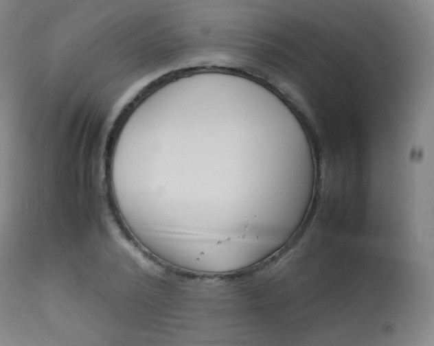 X0000113910784200909241304