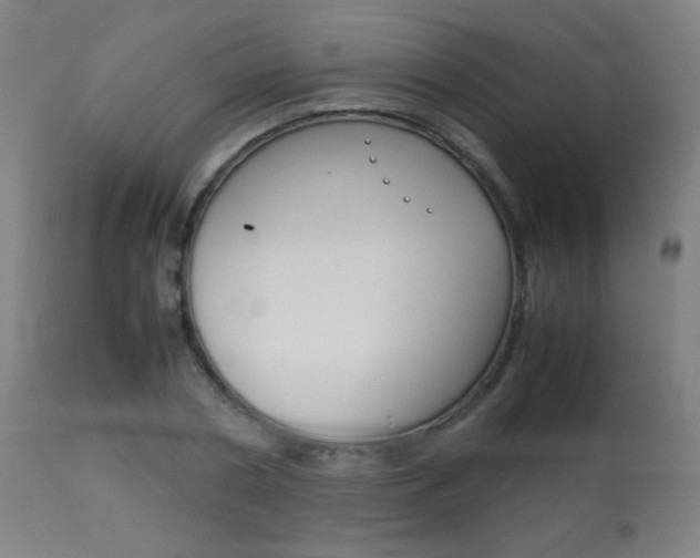 X0000113910786200909241304
