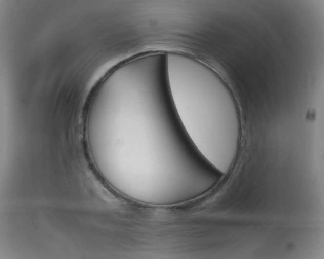 X0000113910787200909241304