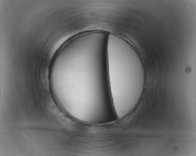 X0000113910788200909241304