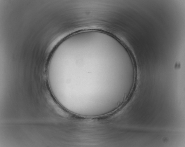 X0000113910789200909241304