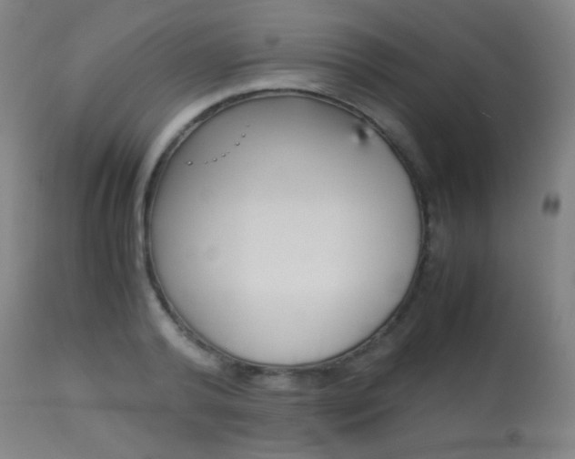 X0000113910792200909241304