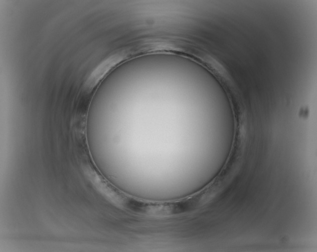 X0000113910793200909241304