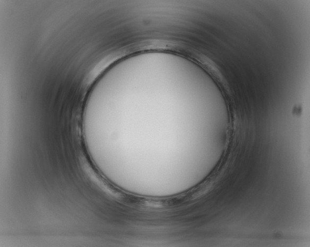 X0000113910794200909241304