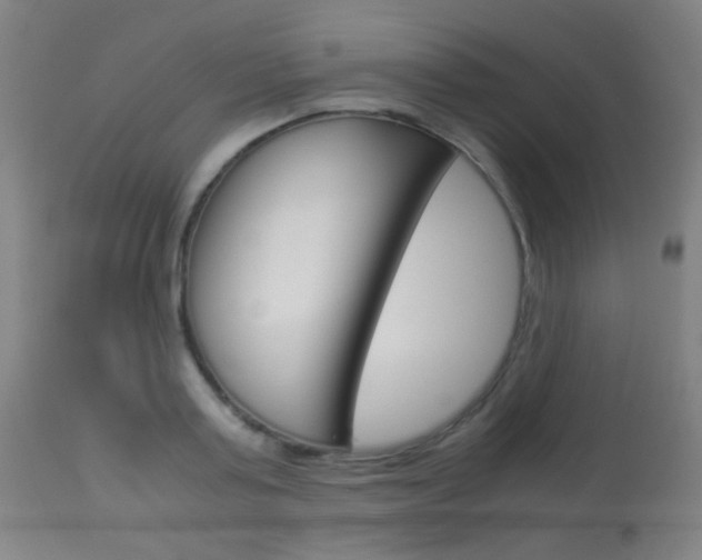 X0000113910795200909241304