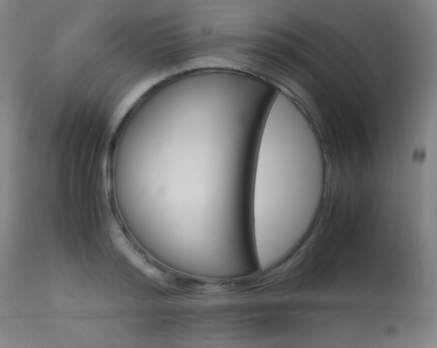 X0000113910796200909241304