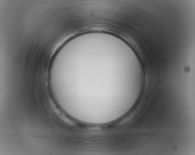 X0000113910798200909241304