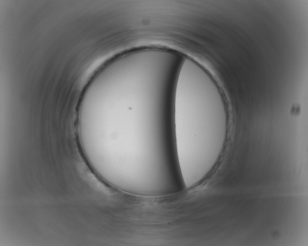 X0000113910799200909241304