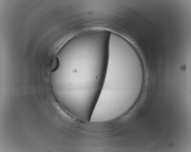 X0000113910801200909241304