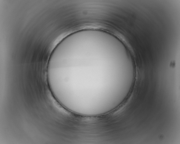 X0000113910802200909241304