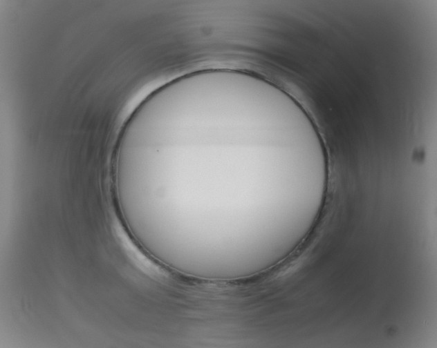 X0000113910803200909241304