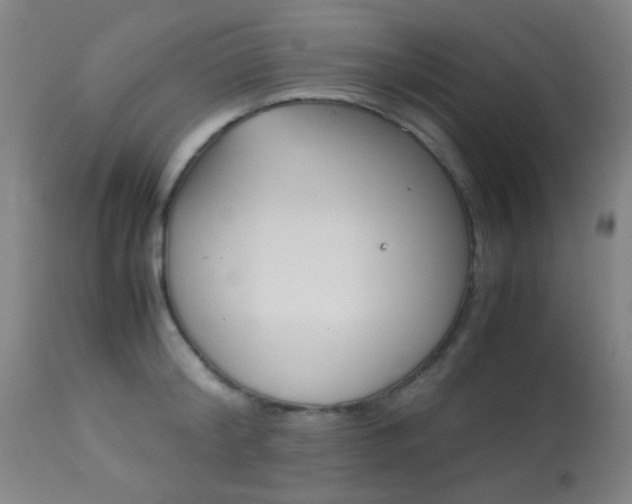 X0000113910804200909241304