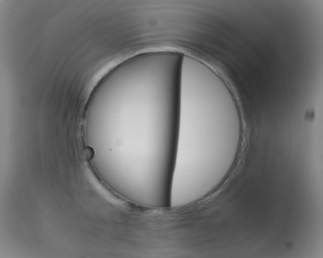X0000113910805200909241304