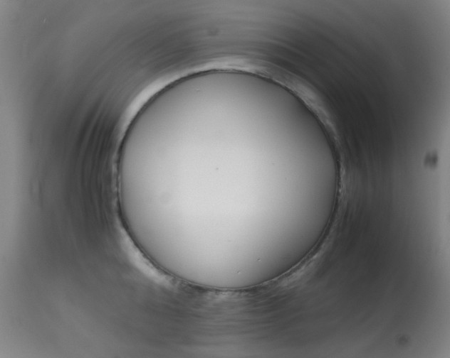 X0000113910808200909241304