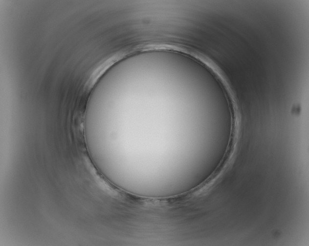 X0000113910809200909241304