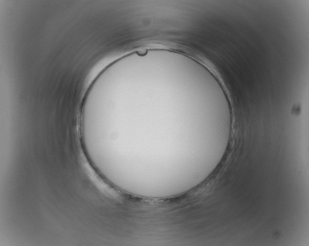 X0000113910811200909241304