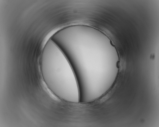 X0000113910812200909241304