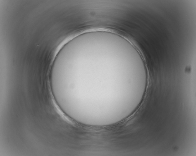X0000113910813200909241304
