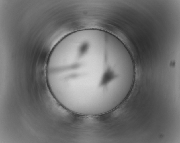 X0000113910814200909241304