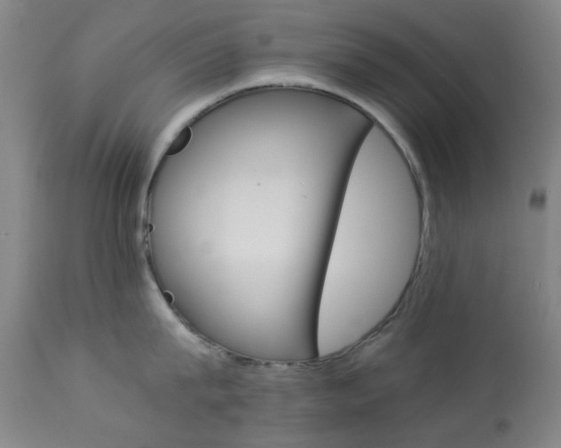 X0000113910815200909241304