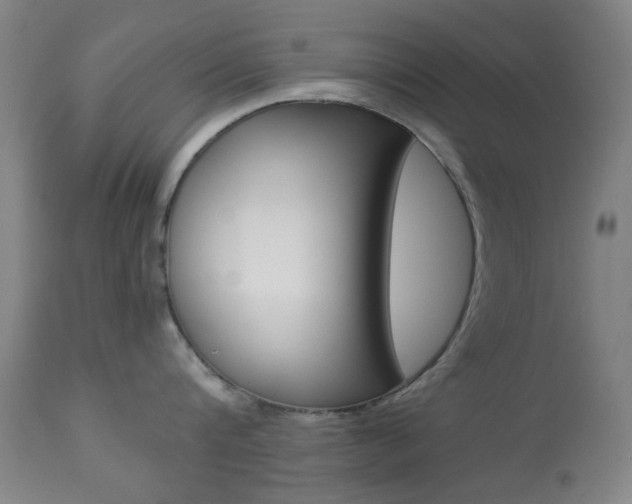 X0000113910816200909241304