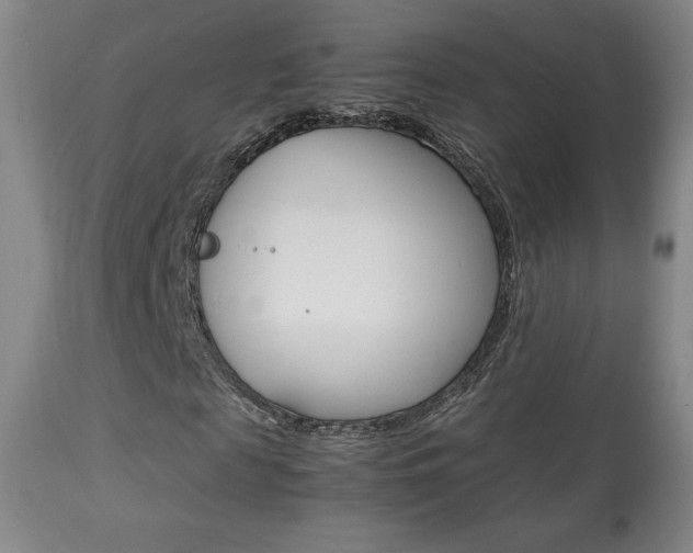 X0000113910817200909241303