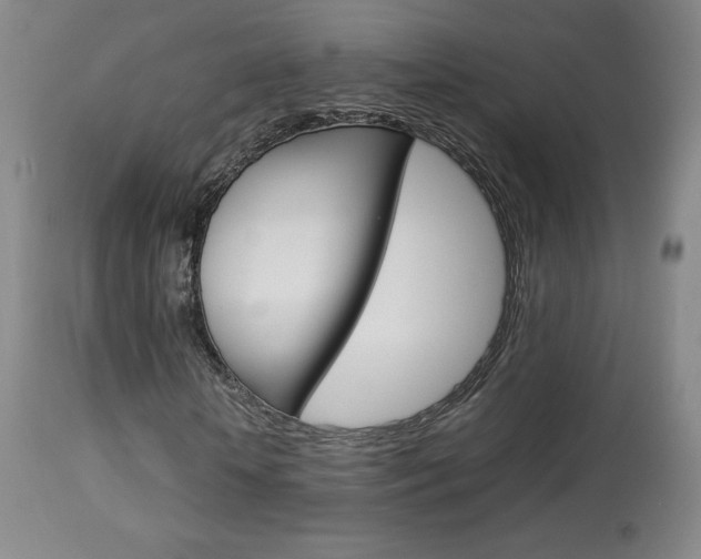 X0000113910818200909241303