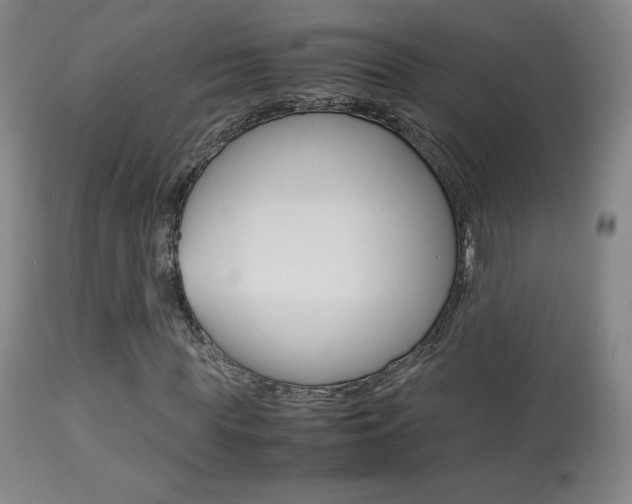 X0000113910819200909241303