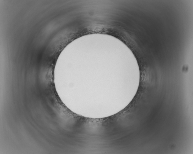 X0000113910820200909241303