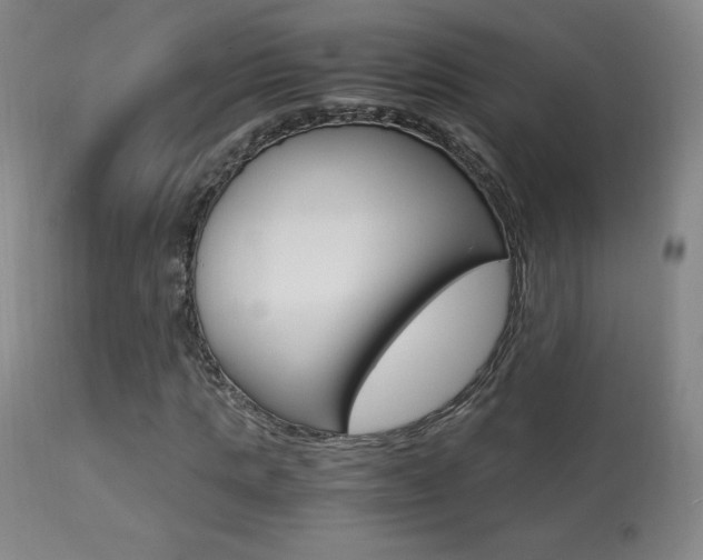X0000113910821200909241303