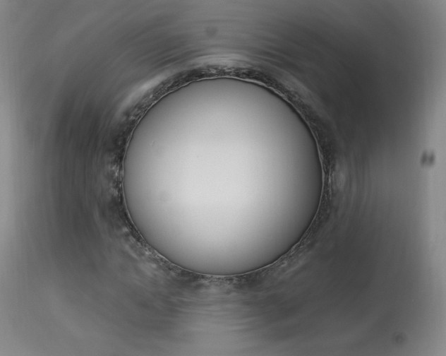 X0000113910822200909241303