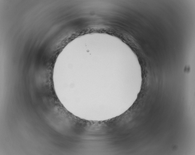 X0000113910824200909241303