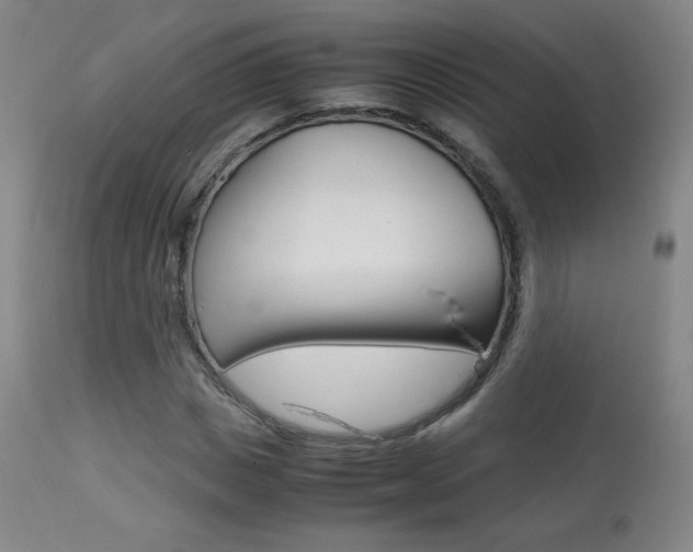 X0000113910825200909241303