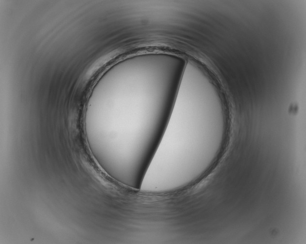 X0000113910826200909241303